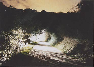 elpilotokirguizo.jpg